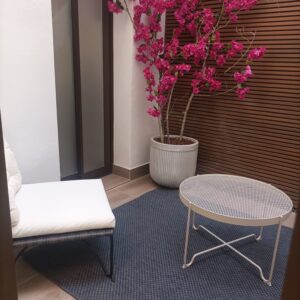 PATIO 1